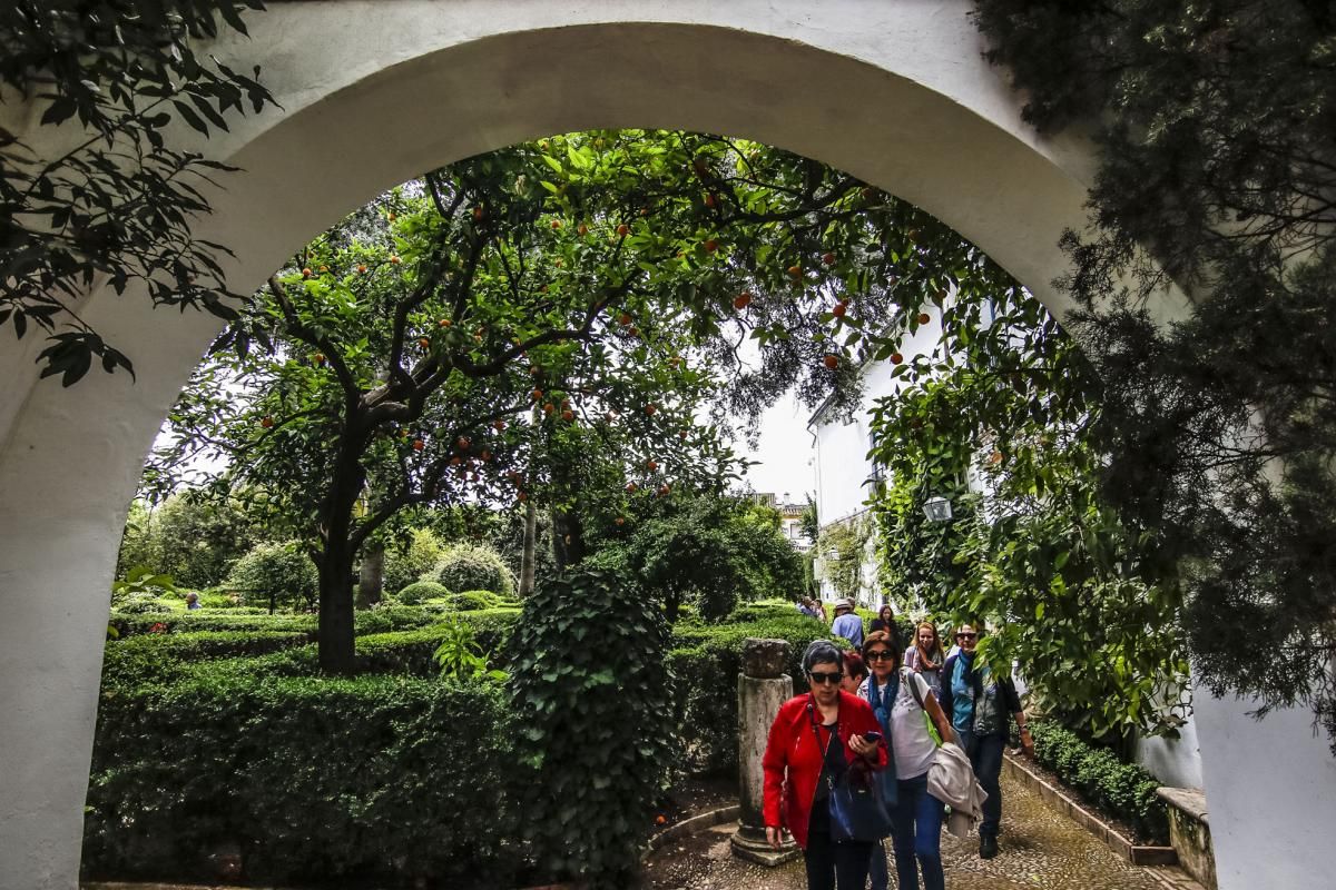 Los patios de Viana se abren a los visitantes del Mayo cordobés