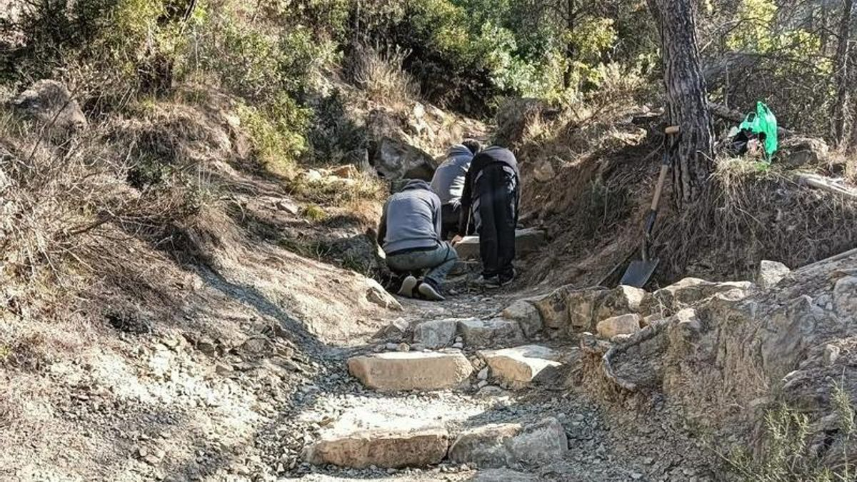 Treballs de rehabilitació del corriol