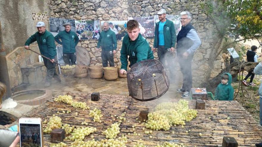 Los Carreters de Llíber recrearon el proceso tradicional de transformar la uva en pasa.