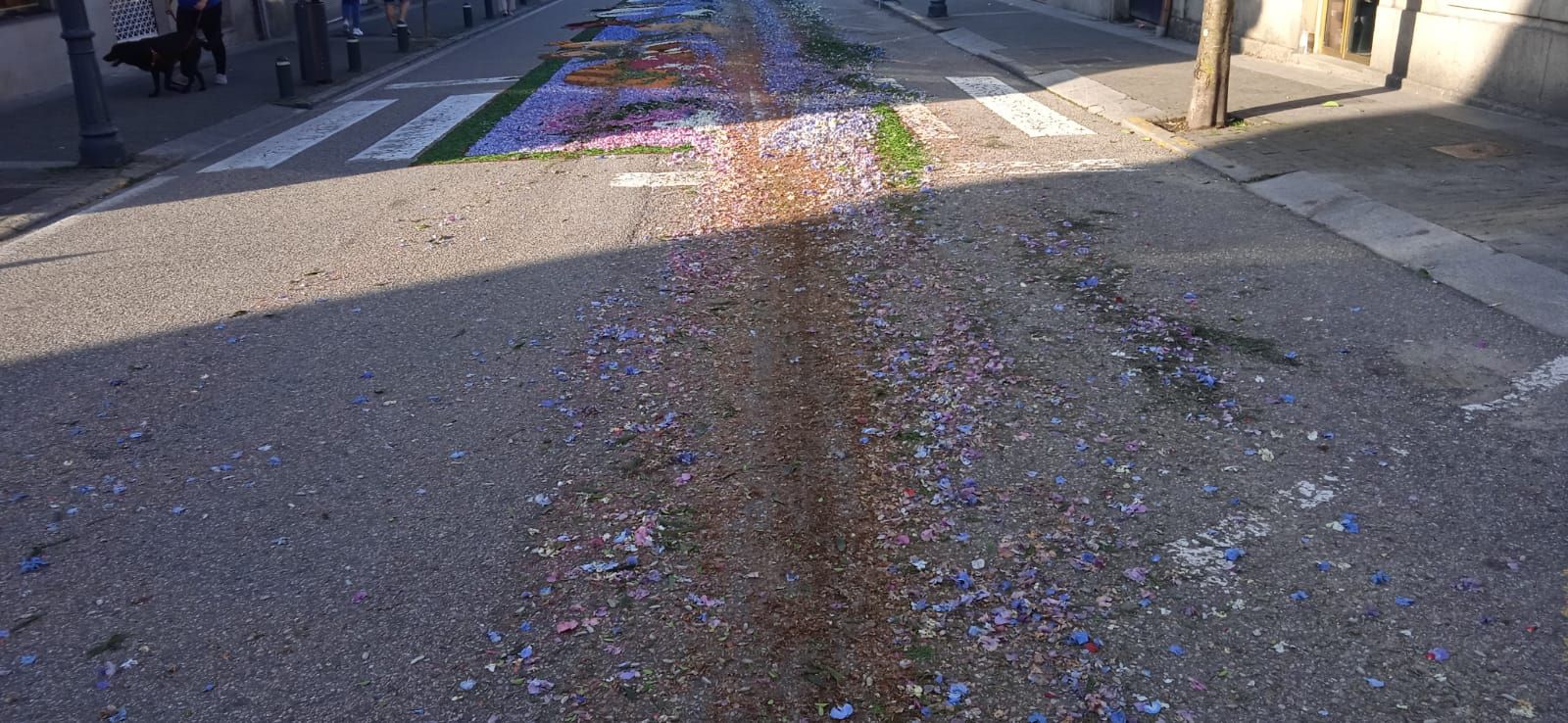 Un coductor destroza las alfombras florales del Corpus de Gondomar