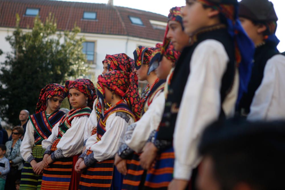 Celebración del Día de la Danza