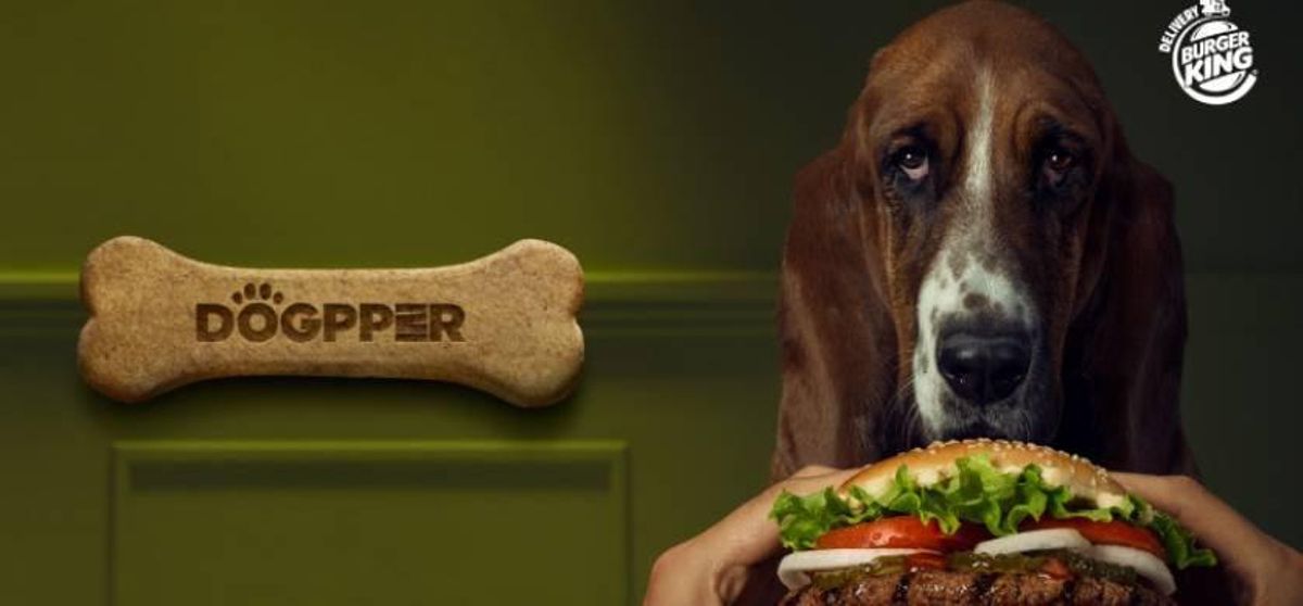 Así es Dogpper.