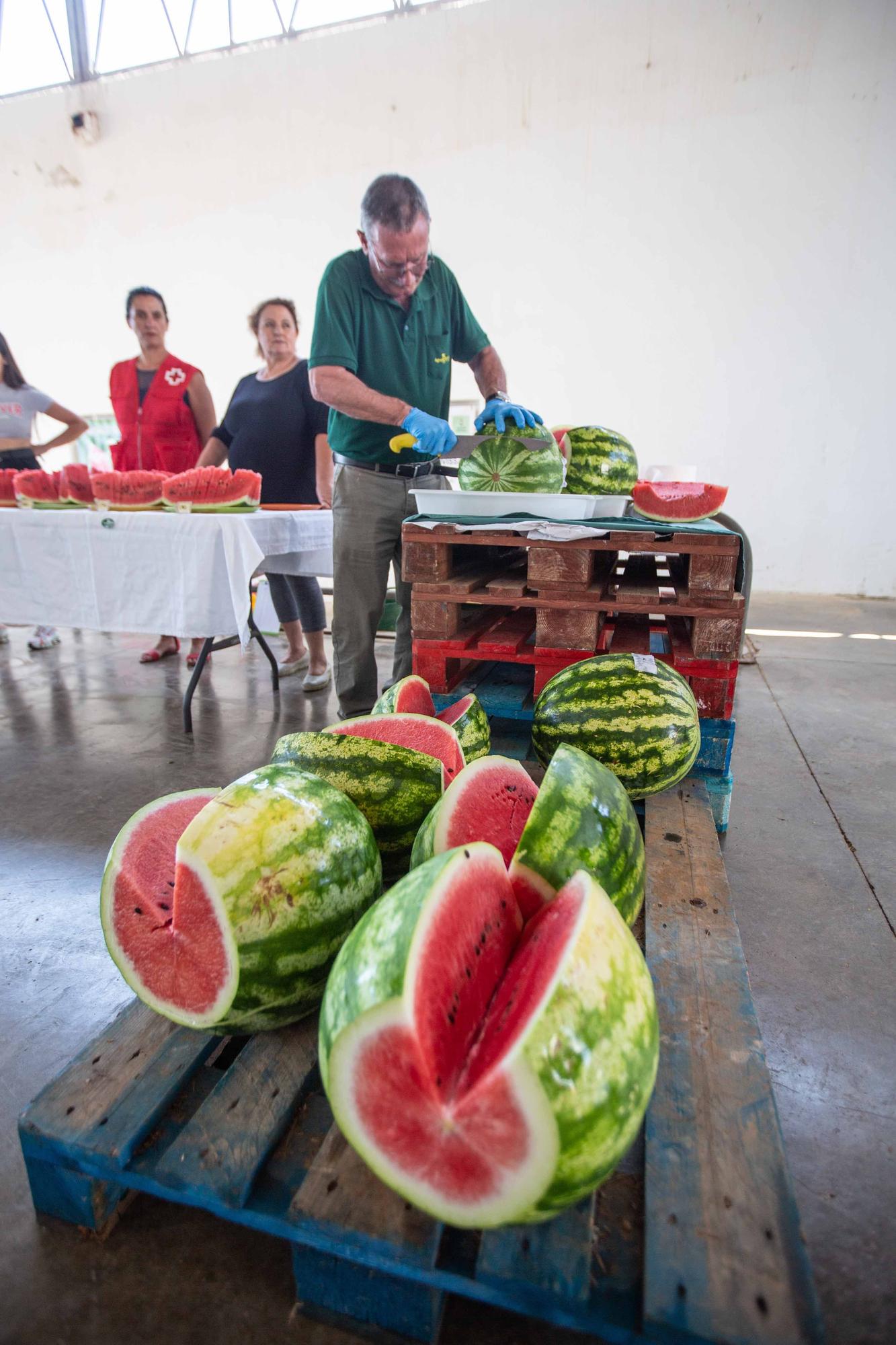 La ‘sandía más grande del mundo’ pesa 20 kilos y es de es Canar