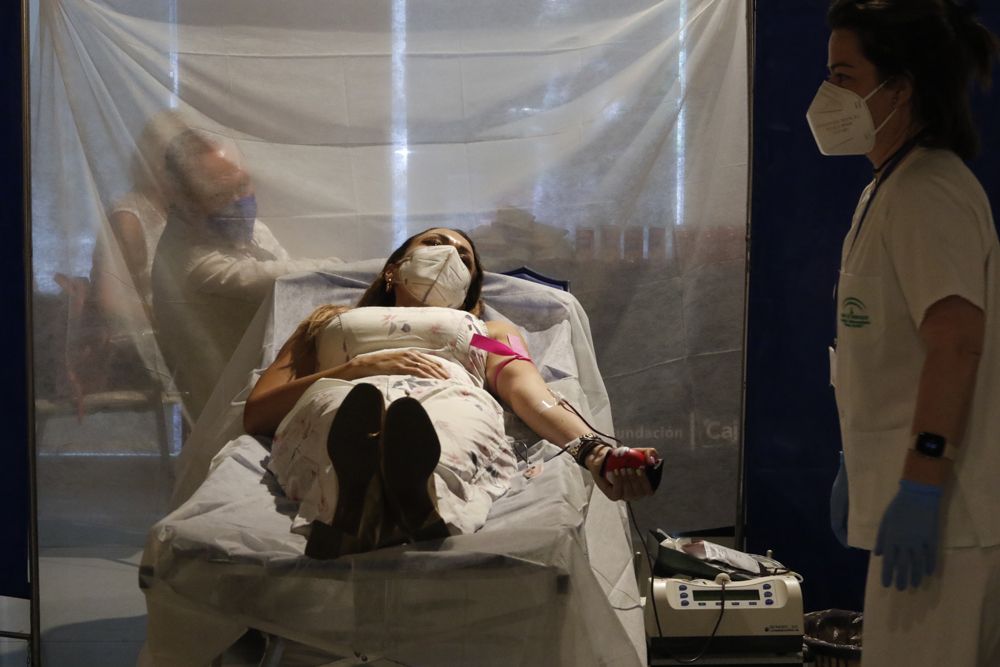 Maratón por la donación de sangre en Córdoba