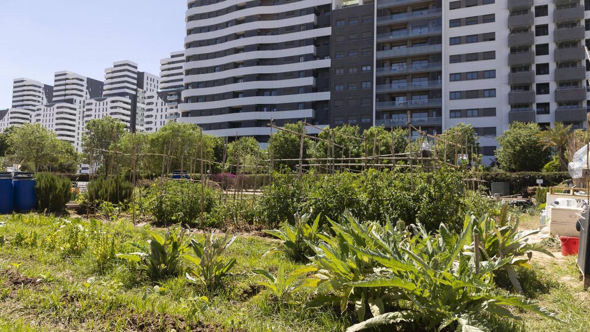 Los huertos del Parque de Malilla