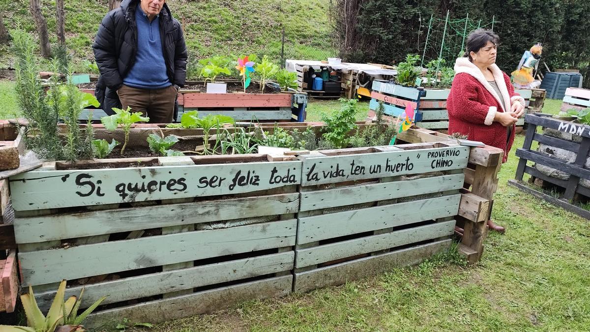 El nuevo huerto urbano de la zona oeste de Gijón, en imágenes