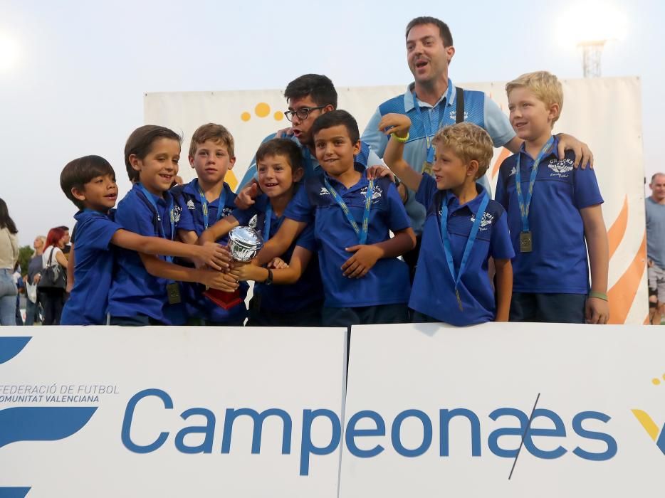 Campeones futbol 8