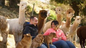 Maria Àngels y Jordi, en su granja de alpacas y llamas.