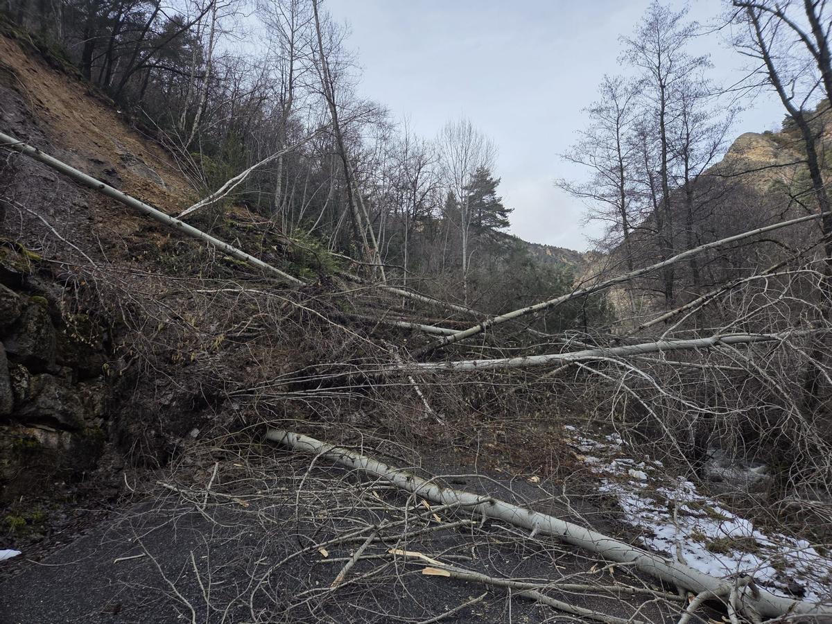 Arbres i terra tallen la carretera que va a Sant Joan Fumat