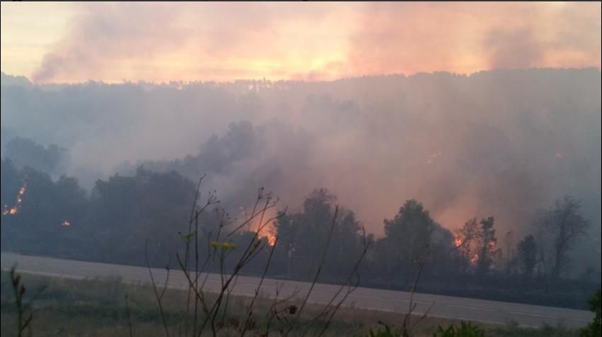 Incendi forestal a Vilopriu