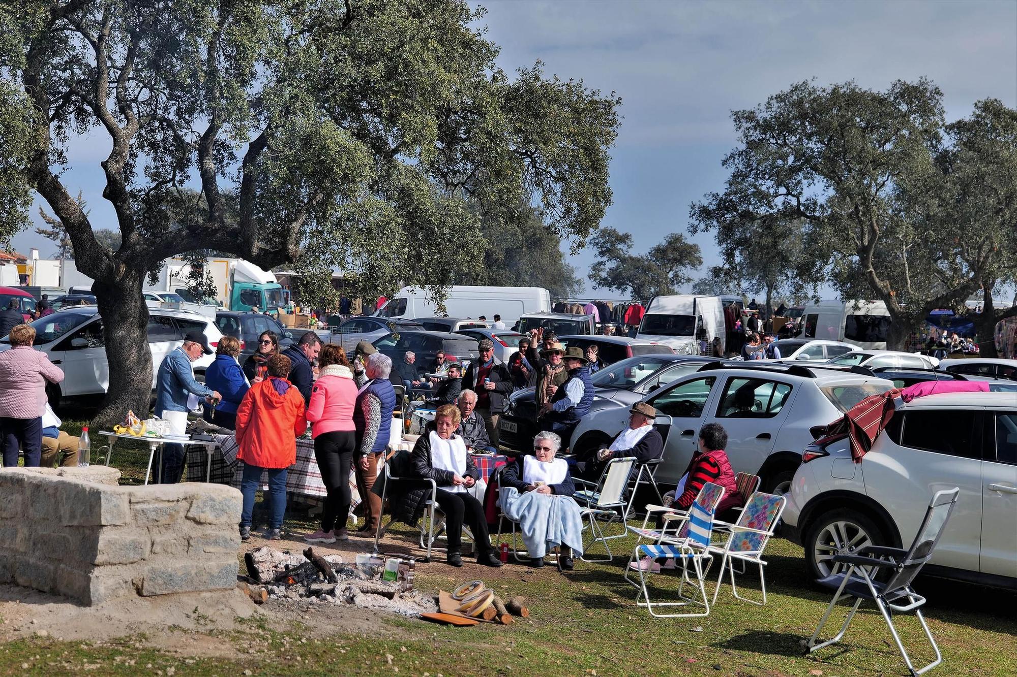 Pozoblanco vive la traida de la Virgen de Luna