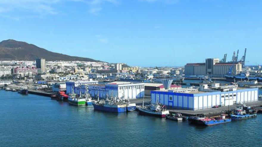 La falta de hielo lleva a la flota artesanal a avituallarse en Tenerife o El Aaiún