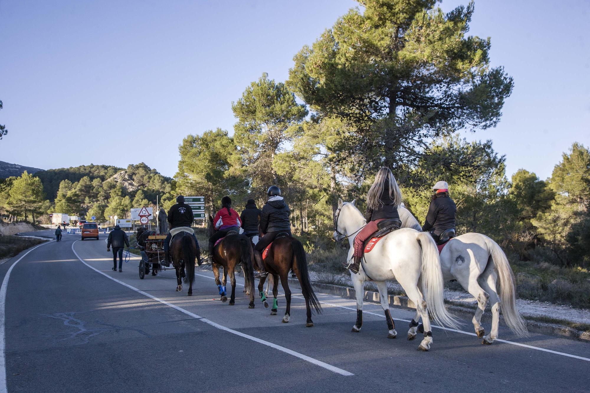 Alcoy vuelve a celebrar la Romería de Sant Antoni