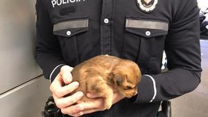 Pillado en Barcelona intentando vender un cachorro de perro a turistas