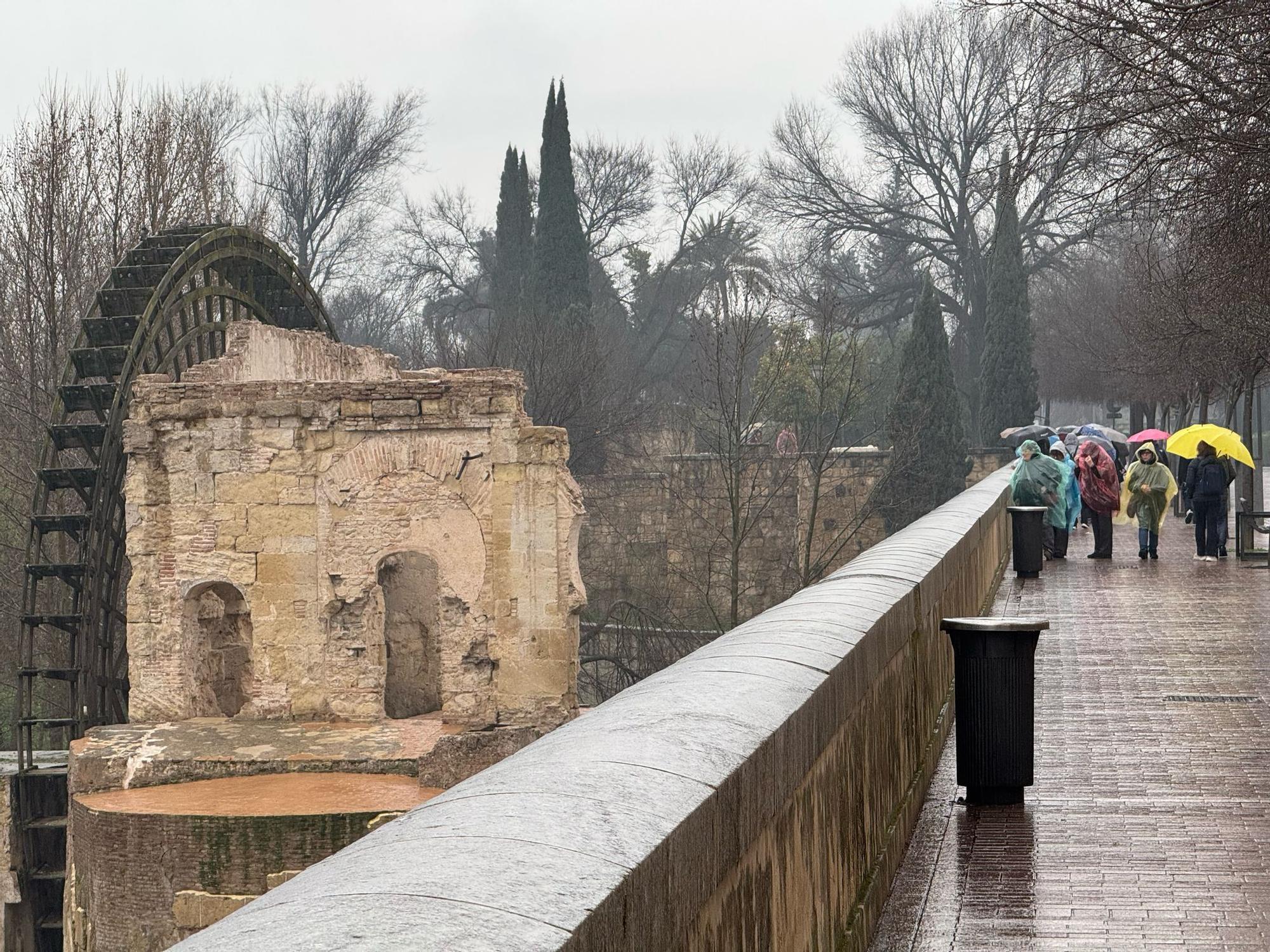 Las lluvias dejan 10 litros en Córdoba
