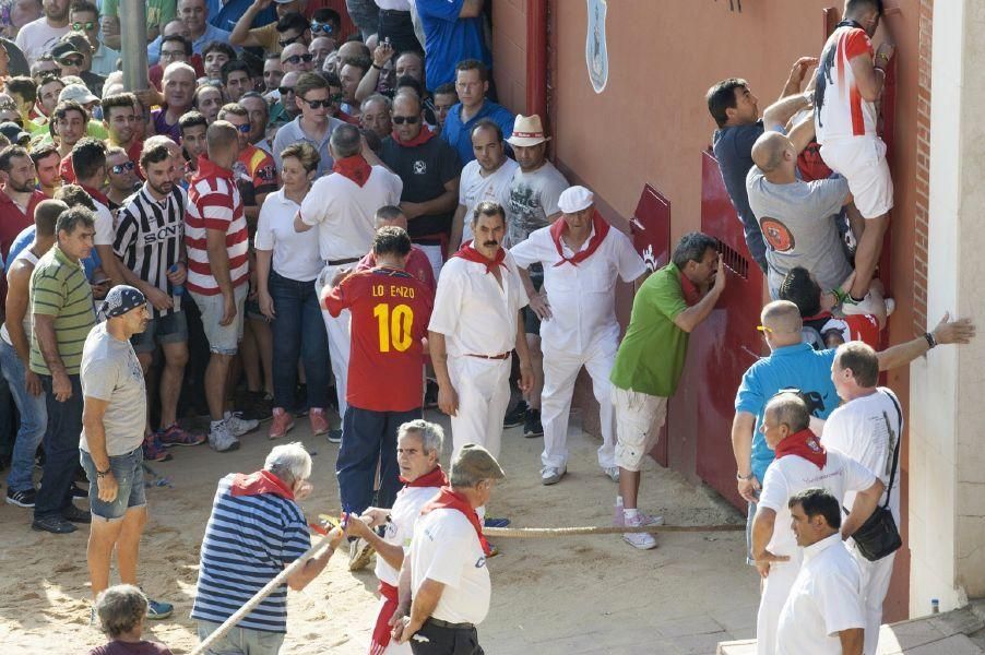 La carrera del Toro Enmaromado 2017 Razonador