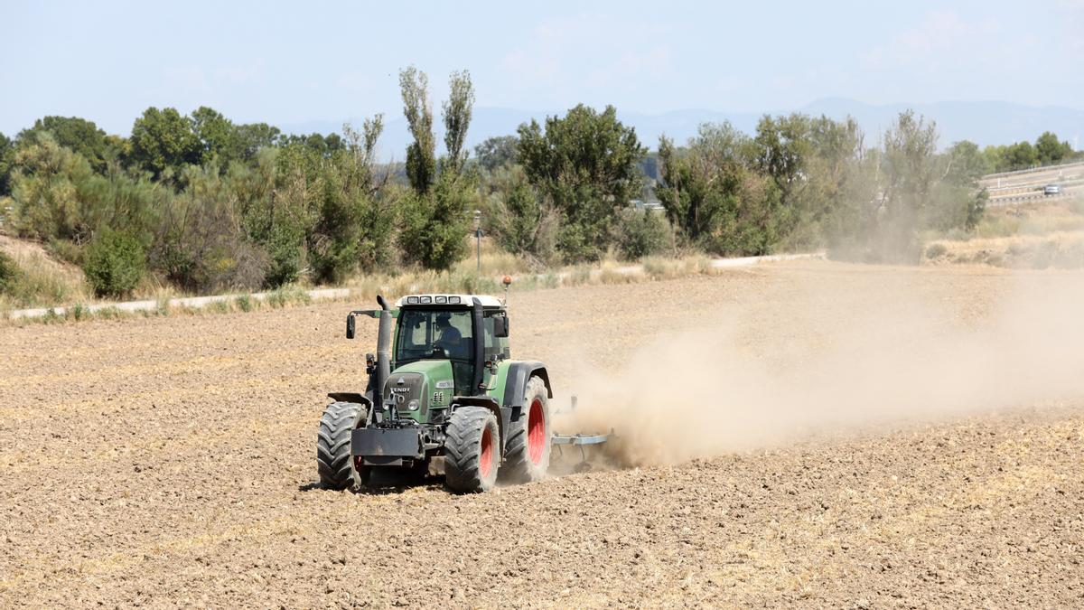 La incorporación de jóvenes agricultores es una prioridad para el sector y el Gobierno de Aragón con el fin de revertir su envejecimiento.