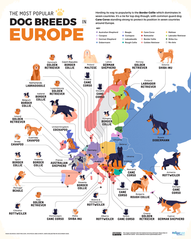 Perros populares, Europa