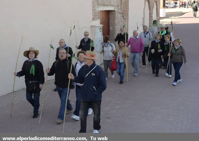 GALERÍA DE FOTOS - Romería Magdalena 2014 (2)