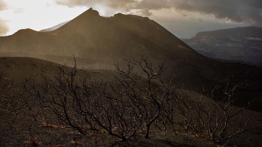 La consulta popular ‘bautiza’ al volcán de Tajogaite