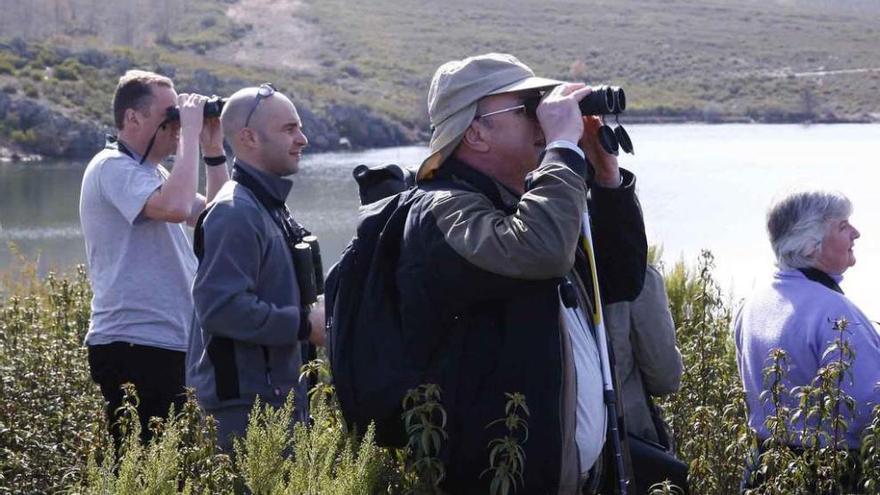 Un grupo de ingleses trata de observar el lobo en La Culebra.