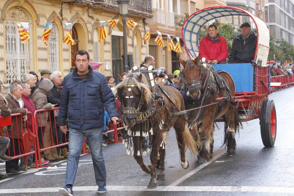 Sant Antoni en Valencia 2017