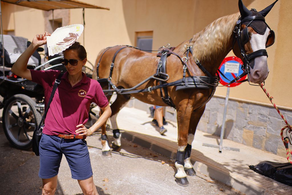 ROMERIA SAN GINES 2024 -38.jpg