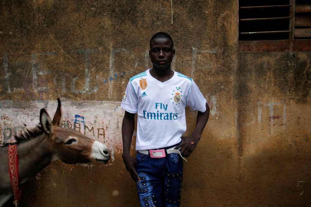 The Wider Image: In Mali, donkeys help with the ...