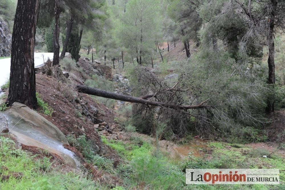 Las consecuencias del temporal en Murcia