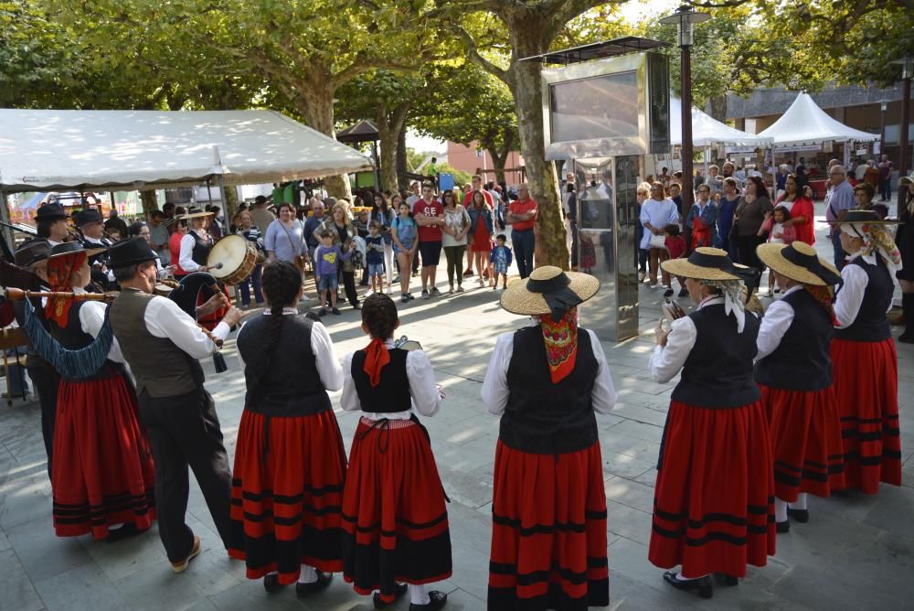 Festa da Empanada de Carral