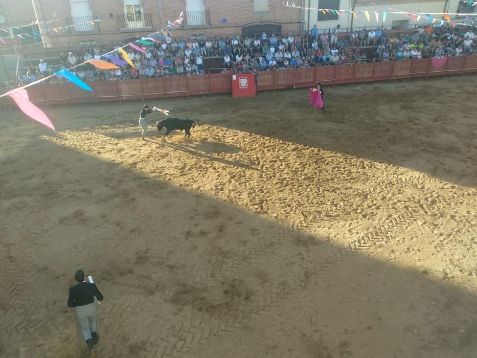 Los encierros de Morales de Toro, en imágenes