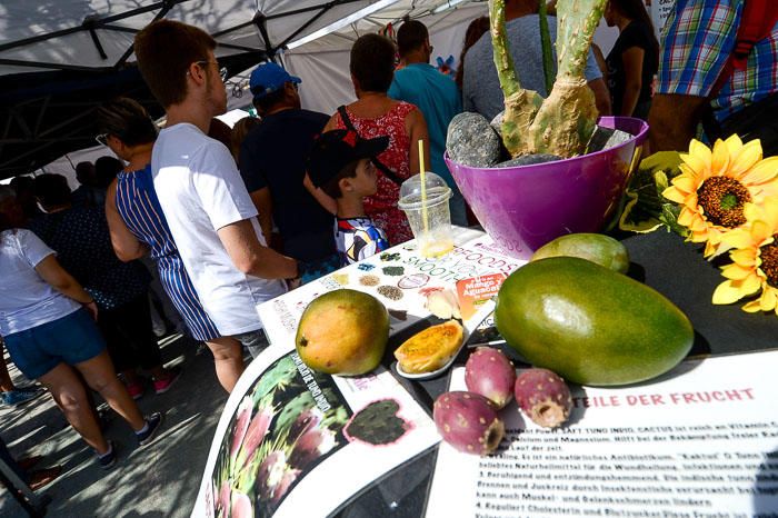 II FERIA MANGO Y AGUACATE