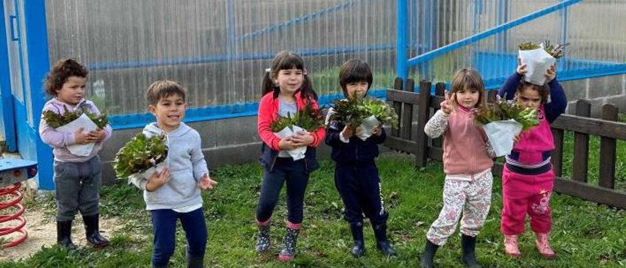 Alumnado de la escuela unitaria de Vilameán, recogiendo las primeras lechugas del invernadero. |   // FDV