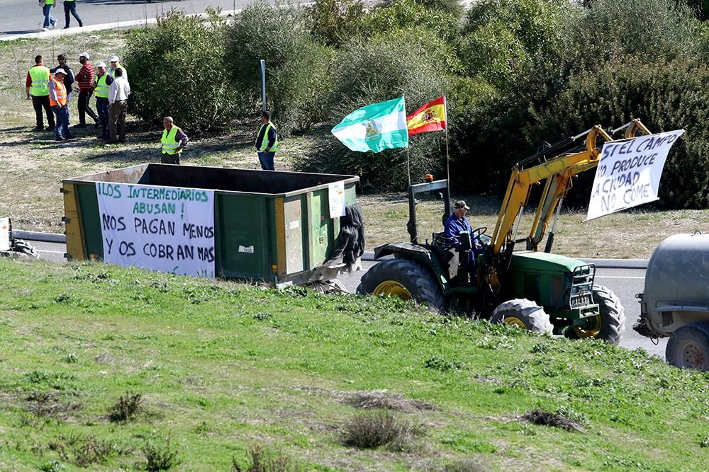 Los agricultores cortan la A-45