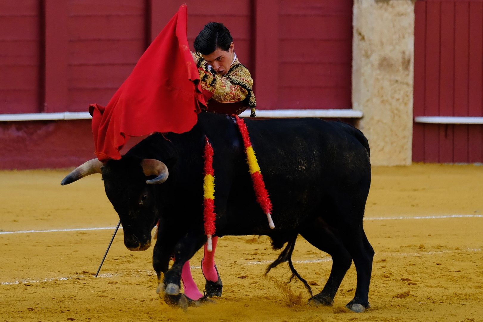 XVI Certamen Internacional de Escuelas Taurinas La Malagueta