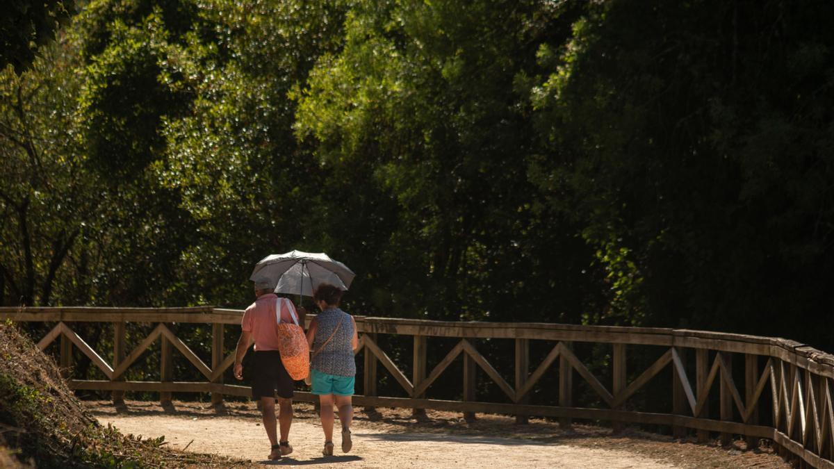 Alerta amarilla por temperaturas de hasta 39 grados.