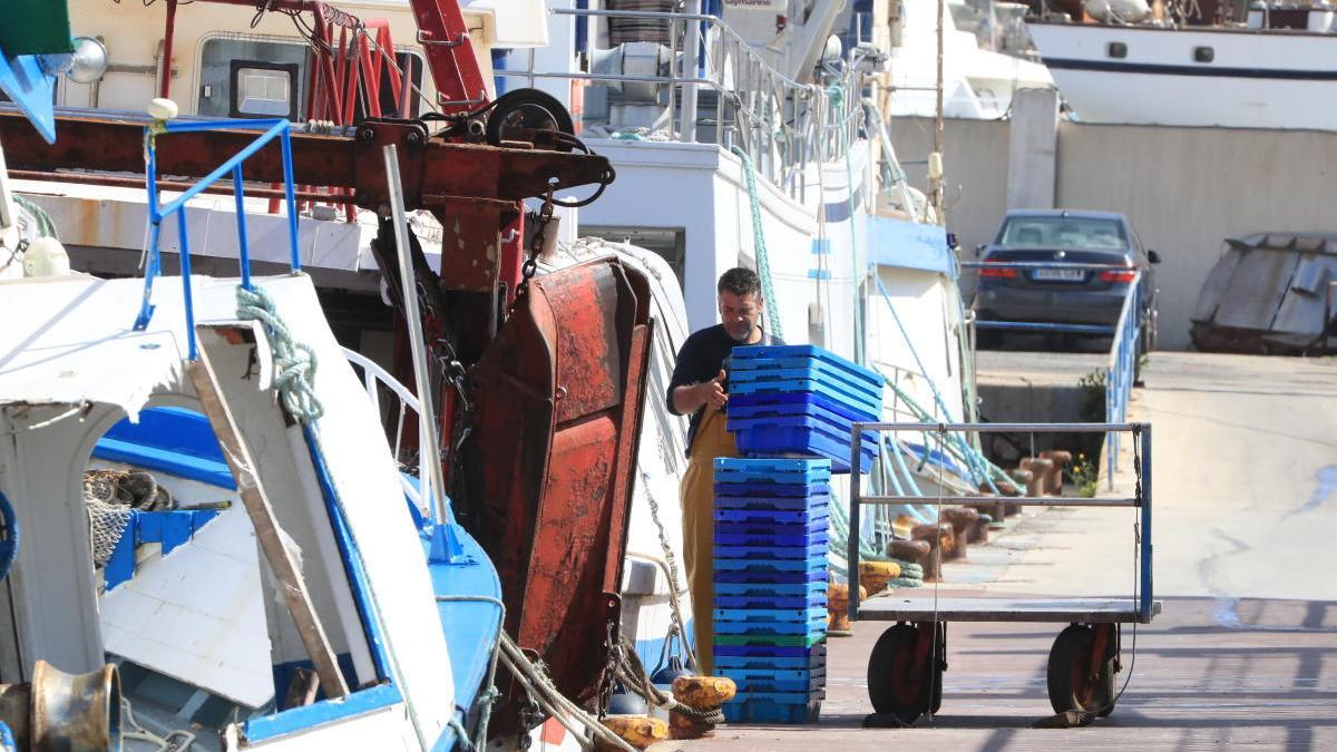 Los pescadores han notado una mejora en el precio de sus capturas.