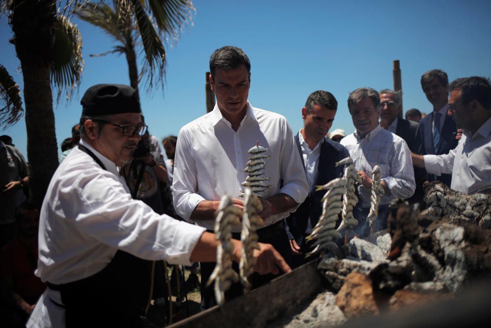 PSOE leader Sanchez places sardines on the grill ...