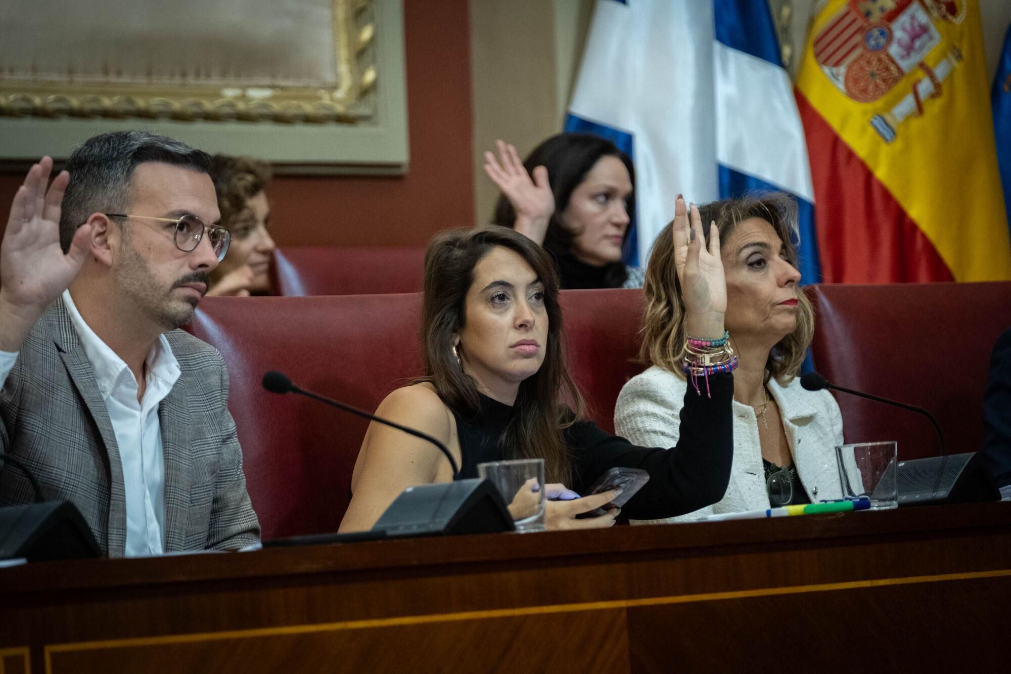 Pleno del Ayuntamiento de Santa Cruz 