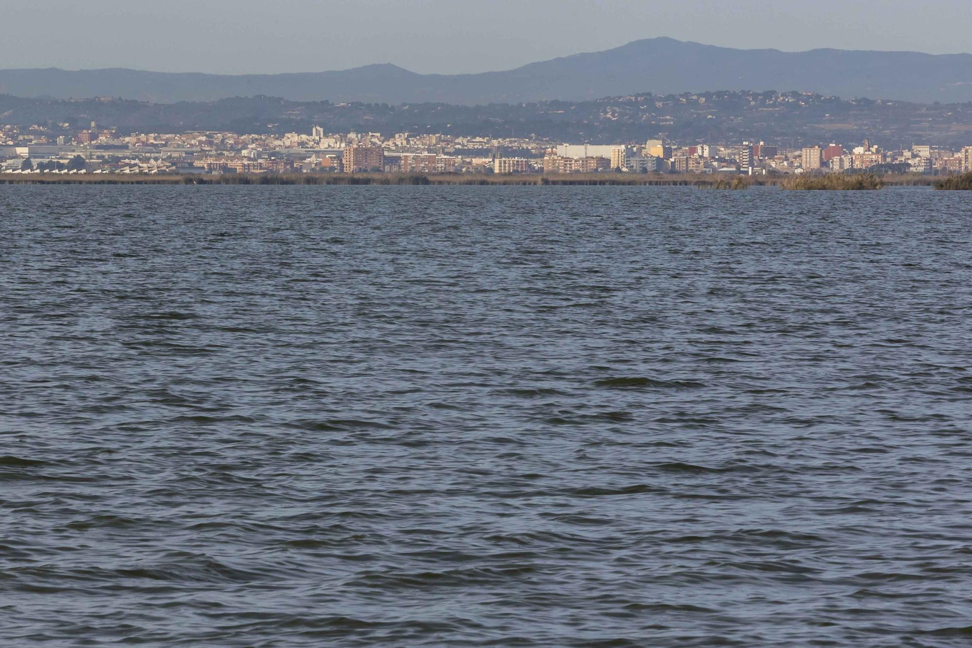 L'Albufera y su biodiversidad disfrutan de una caudal histórico