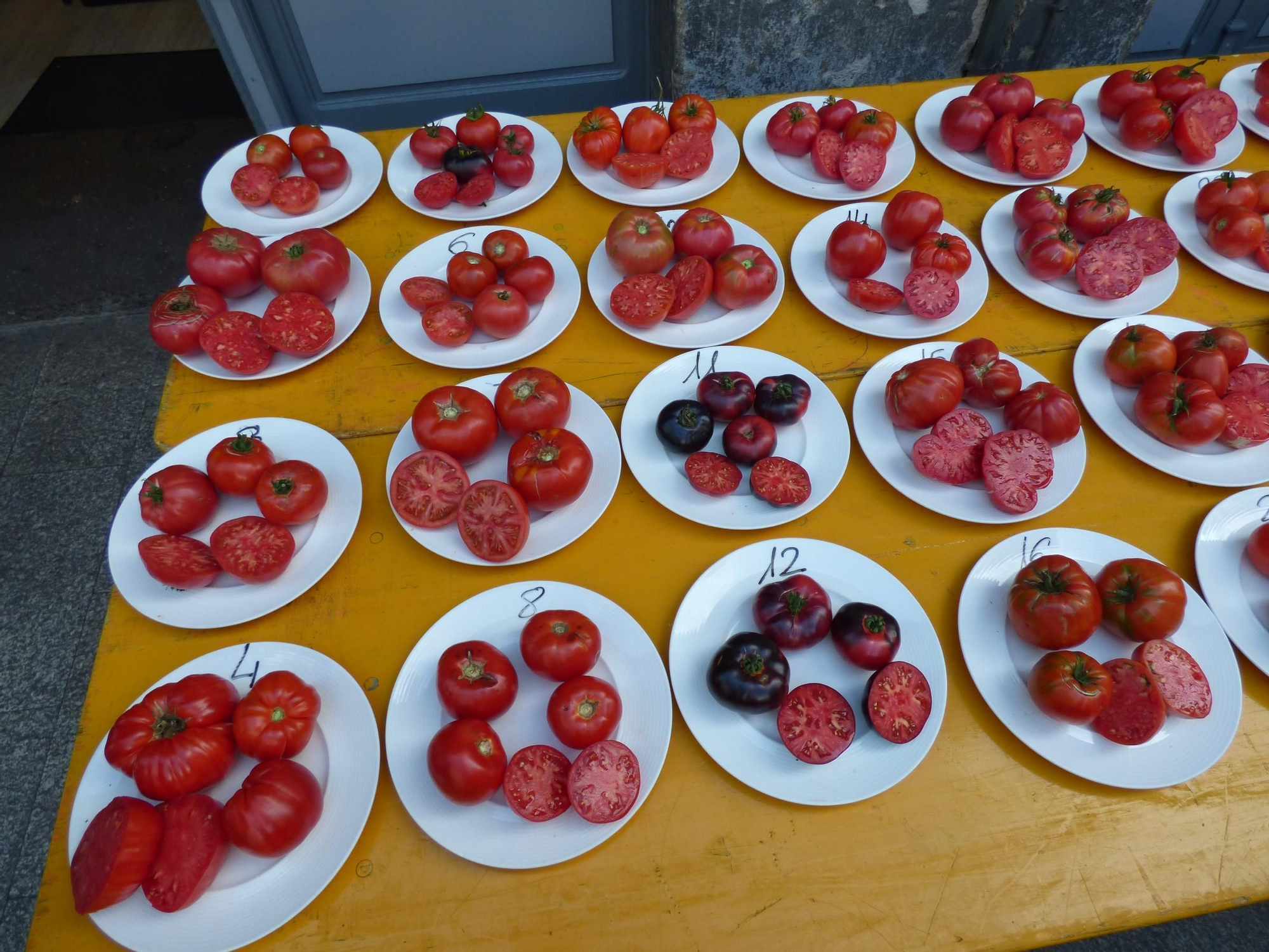 Así fue la elección del mejor tomate de Cangas del Narcea