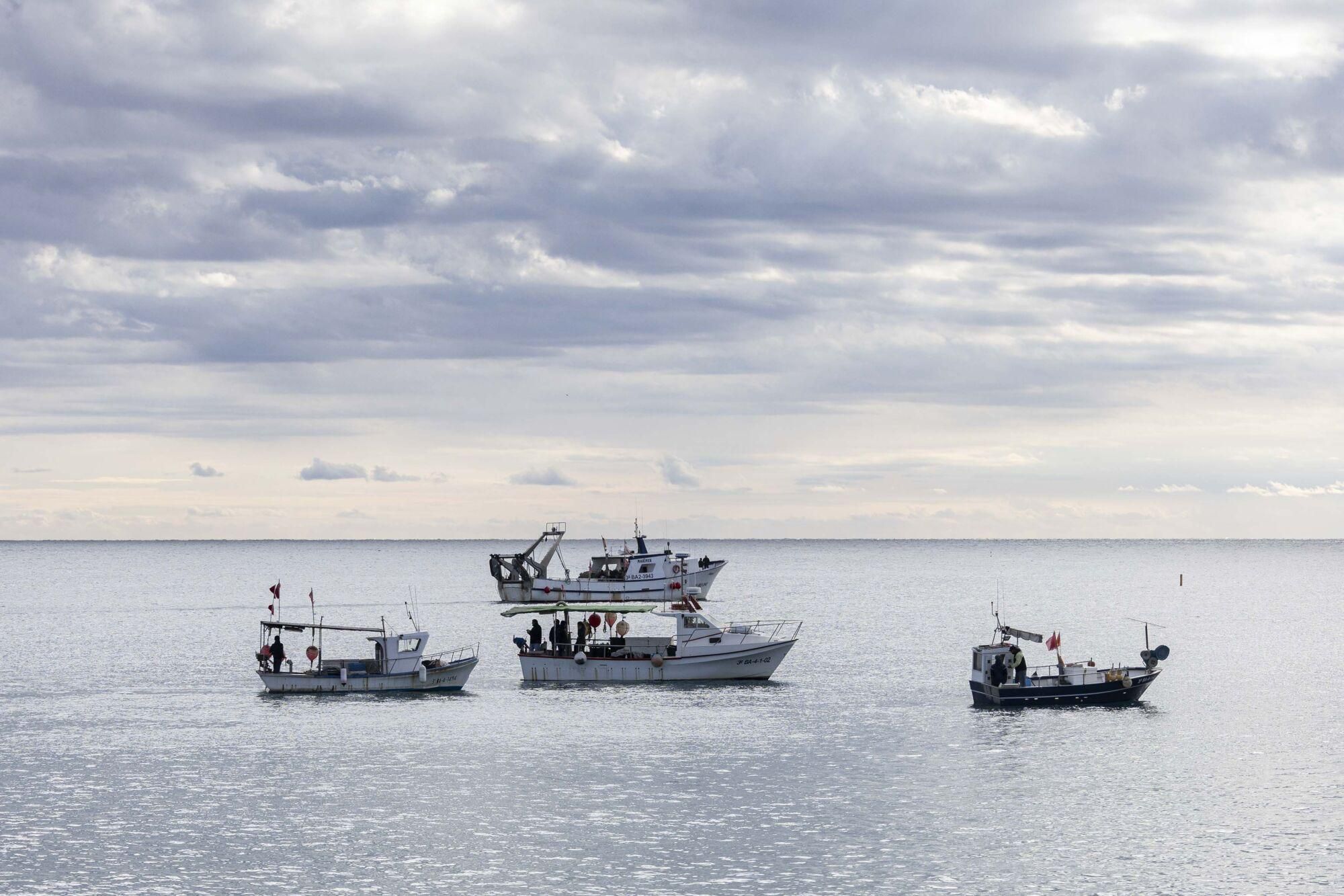 L'aturada de pescadors de Blanes, en imatges