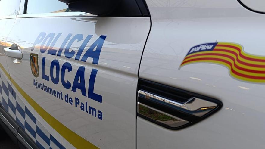 Un hombre amenaza de muerte y agrede a su compañera de piso en Palma dentro de su habitación