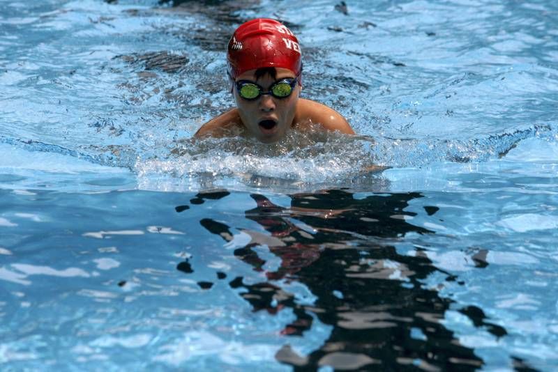 Fotogalería de las 12 horas del Olivar de natación