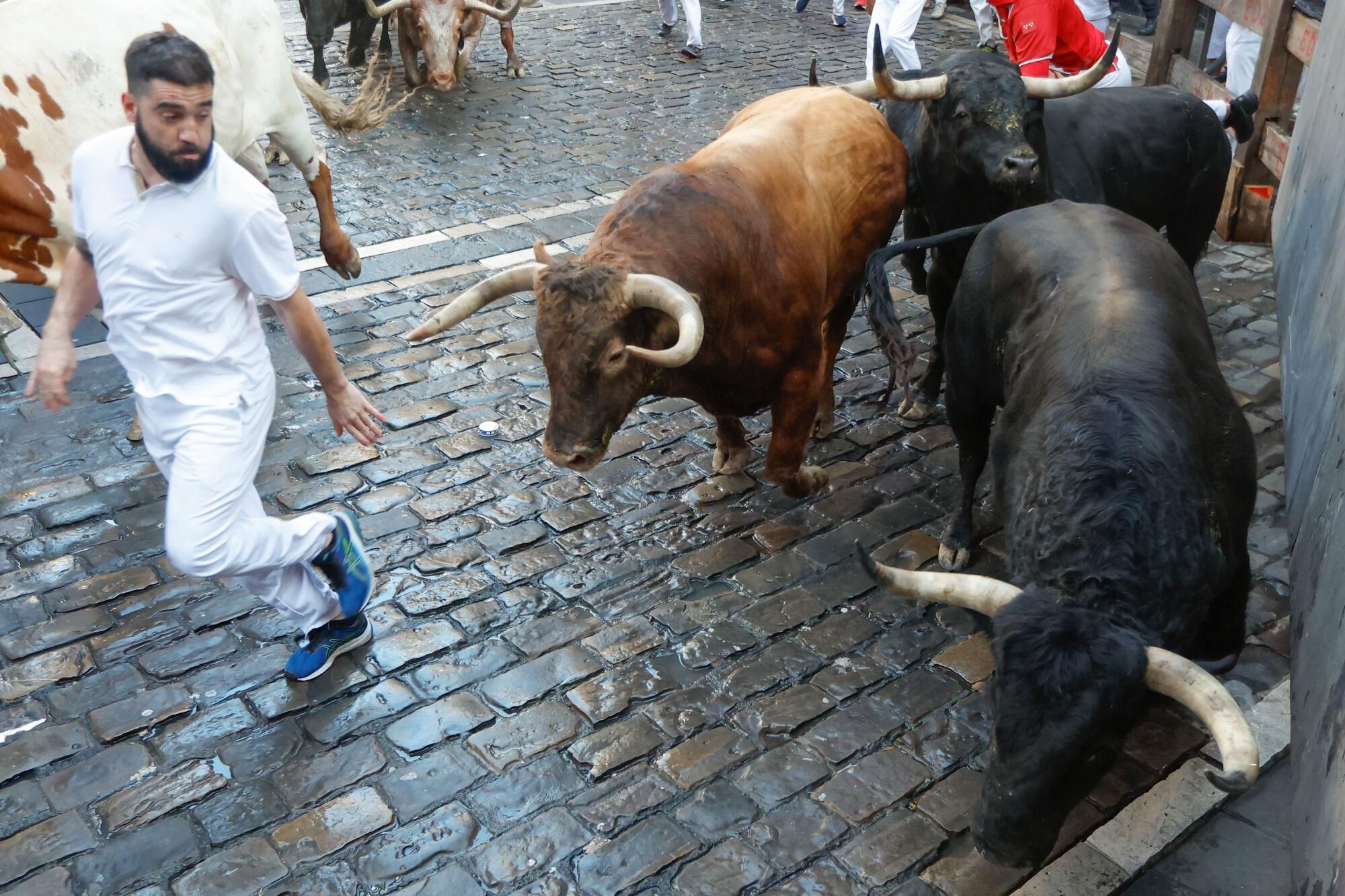 PAMPLONA, 13/07/2025.- Uno de los mozos es perseguido por toros de la ganadería gaditana de La Palmosilla s durante el séptimo encierro de los Sanfermines 2025 este domingo en Pamplona. EFE/Jesús Diges