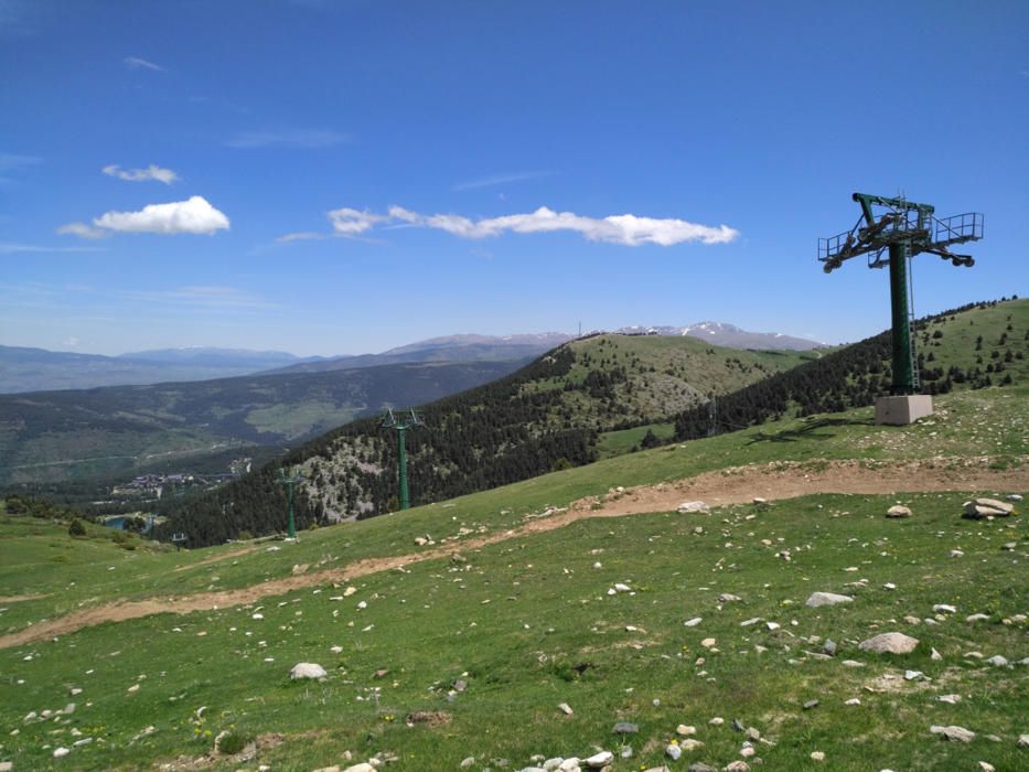 Puputs. Aquests eixerits ocellets captats a Sant Llorenç de Morunys són puputs, de la família dels upúpids i de l’ordre dels coraciformes. En aquesta escena, la mare donava menjar al fill.