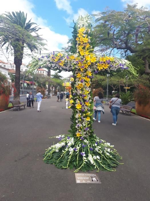 Concurso de Cruces de Flores Naturales