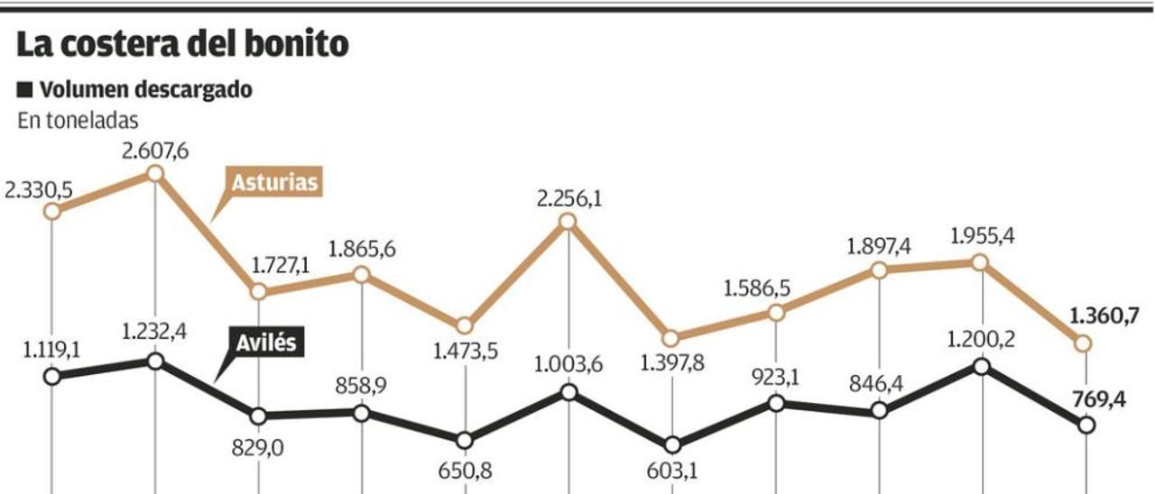 Las capturas de bonito registran en Asturias las peores cifras de la década