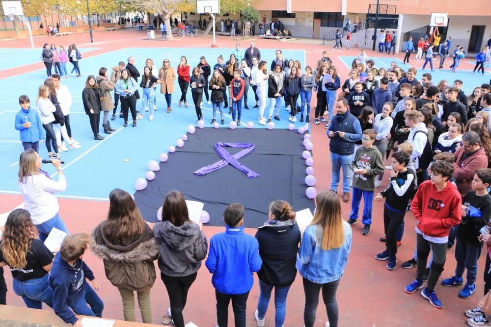 Colegios e institutos gritan contra la violencia de género