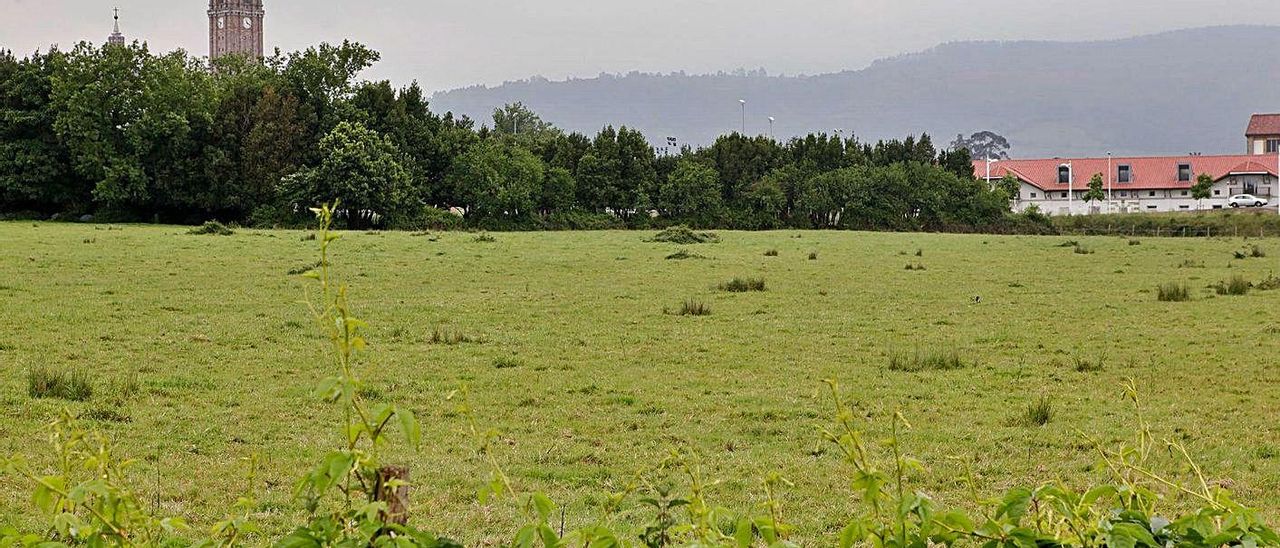 Terrenos donde está prevista la ampliación del Parque Científico Tecnológico.